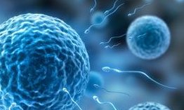 松滋市试管婴儿流程是怎样的（松滋市试管婴儿医院哪家好）