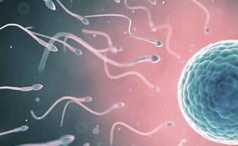 上海做试管婴儿成功率有多少？上海地区有哪些私立的机构可以做试管技术？