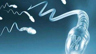 西市区试管婴儿流程是怎样的（西市区试管婴儿医院哪家好）