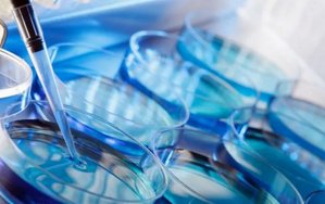 在岳阳做试管婴儿的费用与成功率情况如何？哪个医院最靠谱？