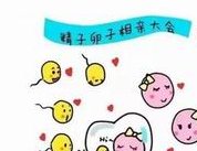 详细解读聊城市做长方案试管婴儿费用，长方案和短方案成功率有差别吗？