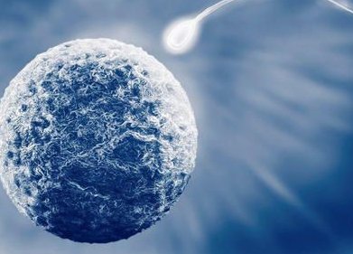 早孕反应特别严重怎么办？如何减轻早孕反应？