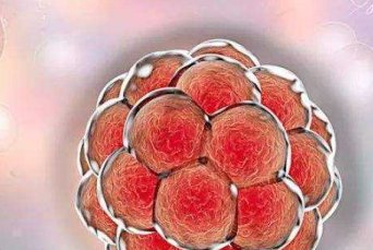 子宫纵隔生育困难可以在启东市做三代试管吗？子宫有问题做试管的成功率高吗？